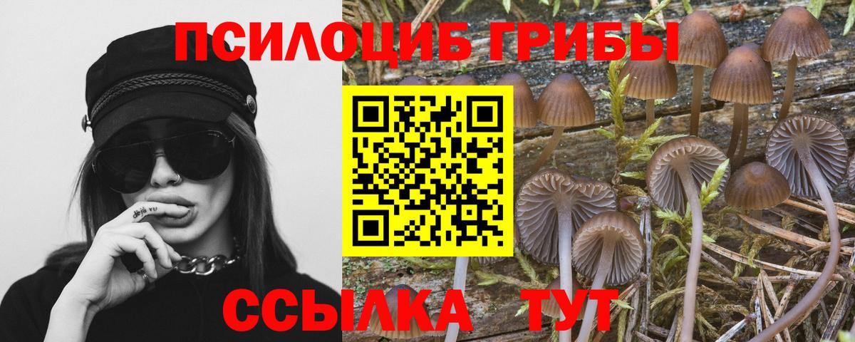 Псилоцибиновые грибы прущие грибы Саранск
