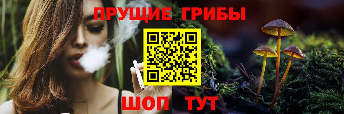 Саранск  Псилоцибиновые грибы Psilocybe  Вход с VPN 